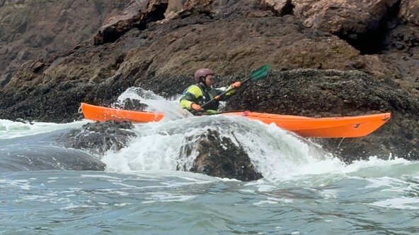 ACA L4 Intro to Rock Gardening 