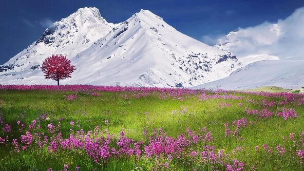 Deep Relaxation Session - Live on Zoom