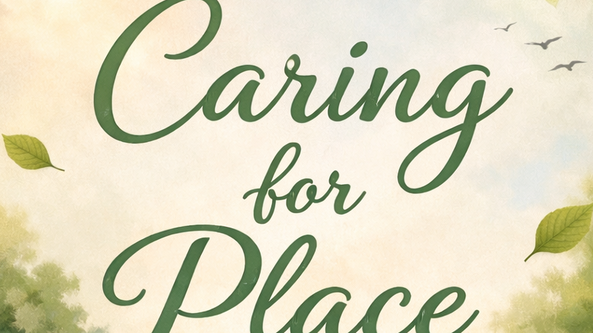 Caring for Place - Lunchtime Mindful Litter Pick 