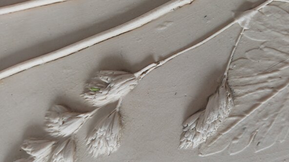 Botanical Plaster Casting Workshop