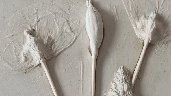 Botanical Plaster Casting Workshop