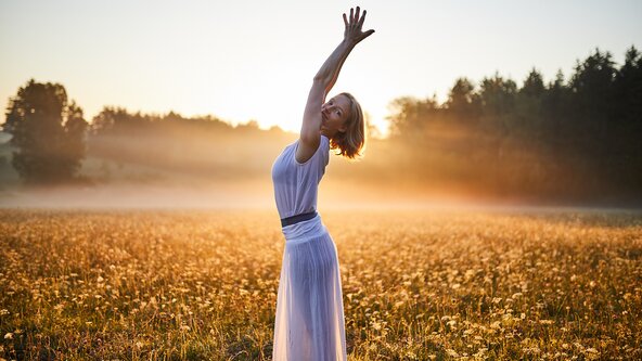 Nerven, Nervensystem & Diaphragmen 🩵 Workshop mit Anja Vogelmann