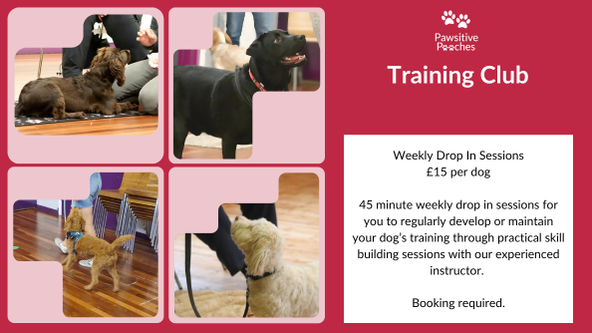 ⭐ Training Club - Brampton