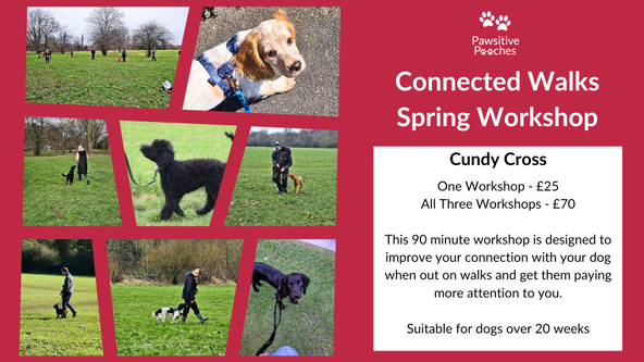 🌸 Spring Workshop - Connected Walks