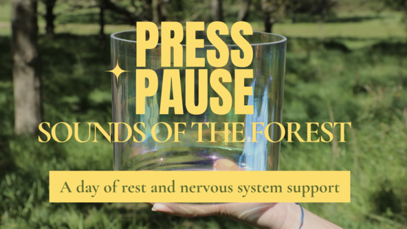 Press Pause: Sound of the Forest Retreat