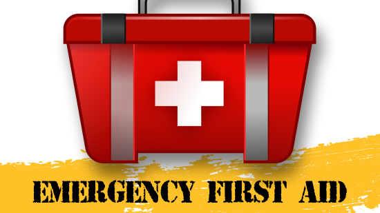 Emergency First Aid At Work (Basic First Aid) SFQC level 6