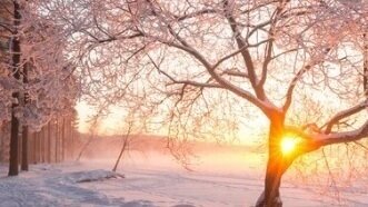 The Practice of Wintering: Deep Rest in the Body