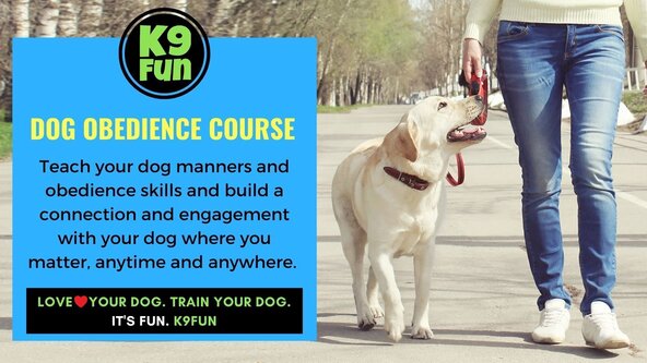 Newtown - Obedience & Manners – Teach your dog obedience and every day lifeskills 