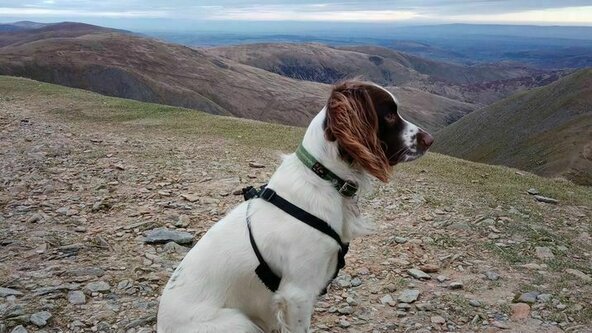 Grand Scale Trail: Helvellyn
