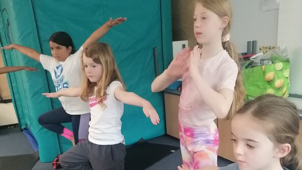 Yoga and Wellness👌 3 hour session 5+ HORSFORTH