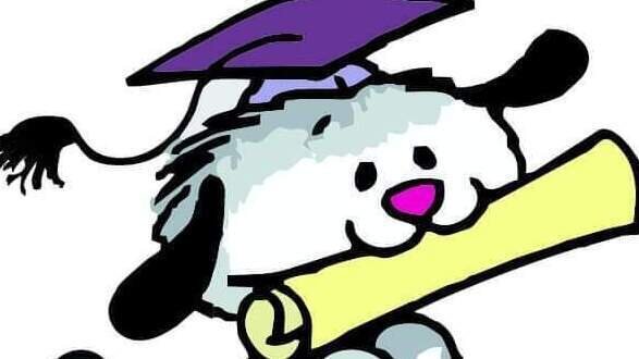 NNA Foundation Level Trial Gun Oil