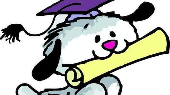 NNA Pre Entry Level Trial Gun Oil at Bethersden Kent