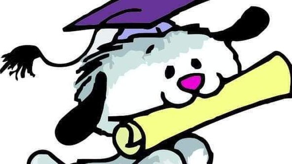 NNA Foundation Level Trial Gun Oil at Brenzett Aeronautical Museum. Judge Debs Channon 