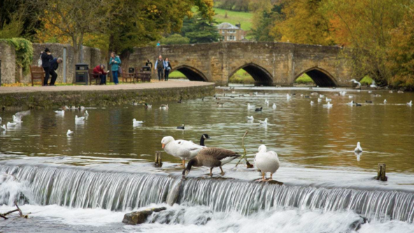 Bakewell Carnival 2026 Week
