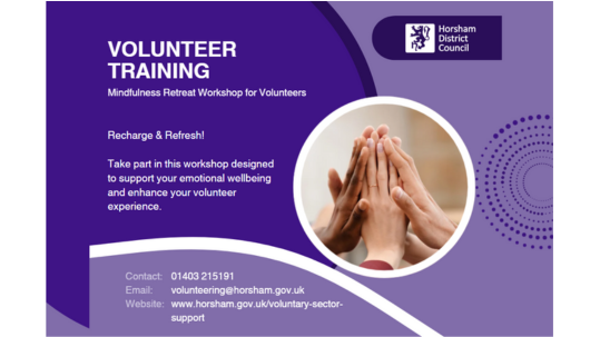Mindfulness Retreat Workshop for Volunteers - Voluntary Sector Support