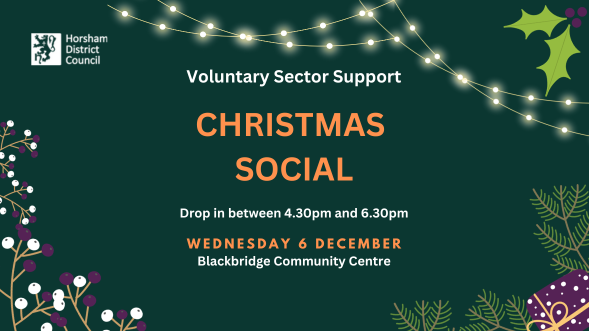 Voluntary Sector Christmas Social - Voluntary Sector Support