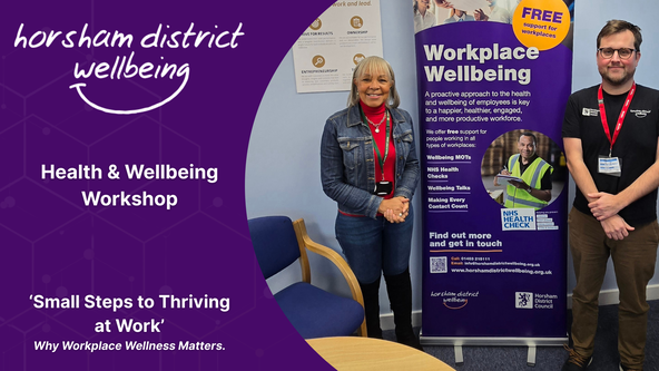 Small Steps to Thriving at Work’ Why Workplace Wellness Matters. HDC Enterprise
