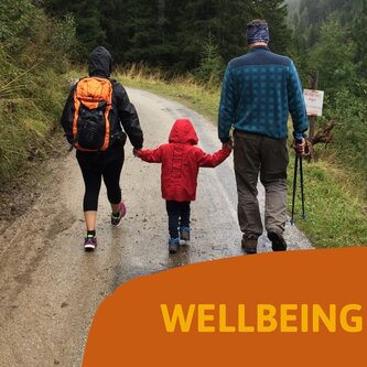 TUESDAY Wellbeing Walking Group Stonehouse