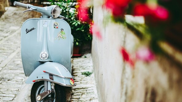 EUVetCE Seminar Florence November 10-11/2026