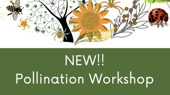 Children's Pollination Workshop