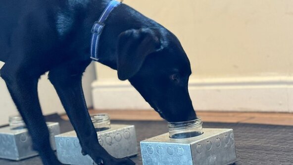Human ID Scent Matching Course 
