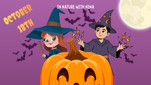 Witches, Wizards & Woodland Magic