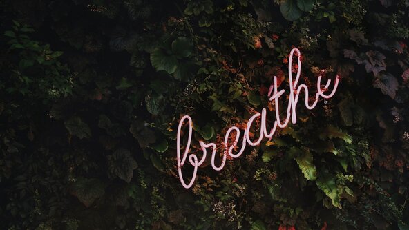 Silent Retreat Session - In Person