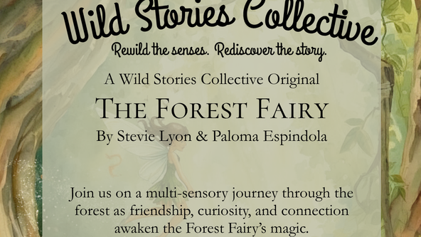 Wild Stories Collective: The Forest Fairy 🧚