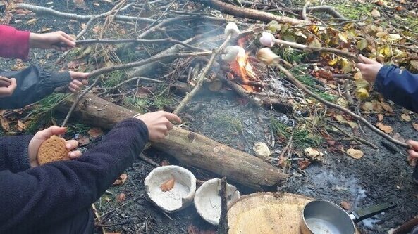 Eight Weeks Wild Taster Day 