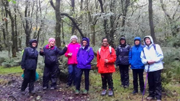 'Autumnal Woodland Wellbeing' in collaboration with Moors to Mountains AFTERNOON SESSION. Details on how to book MORNING SESSION below.