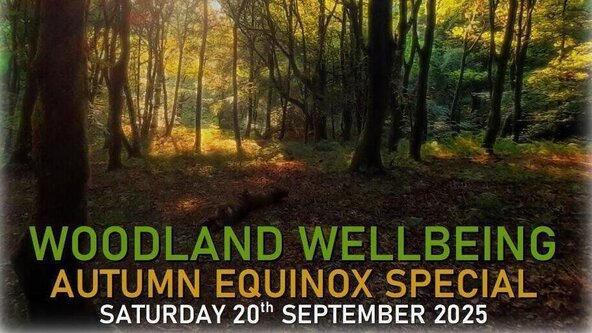 Woodland Wellbeing Autumn Equinox Special