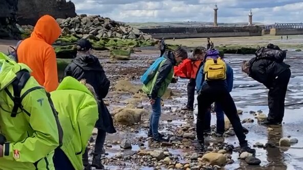 Saltwick Bay - In the Footprints of Dinosaurs with Byron