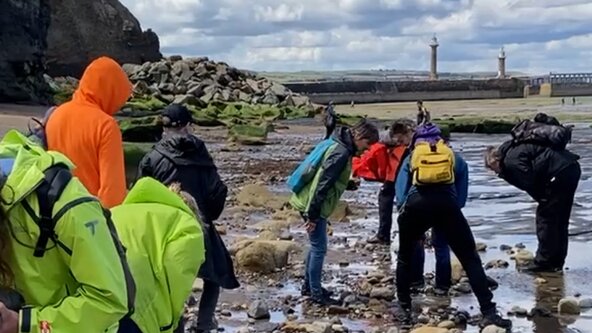 Saltwick Bay - In the Footprints of Dinosaurs with Byron