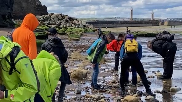 Saltwick Bay - In the Footprints of Dinosaurs with Byron