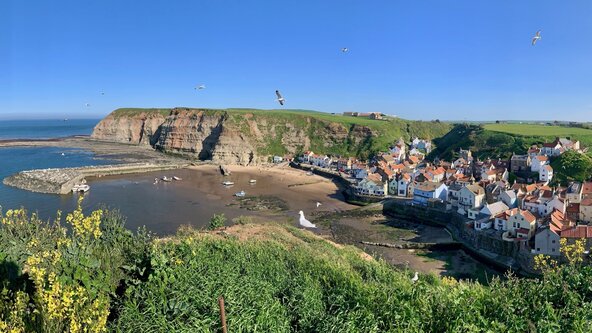 Staithes Special Fossil Safari with the Rock Showman