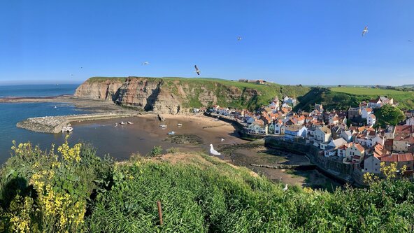 Staithes Special Fossil Safari with the Rock Showman