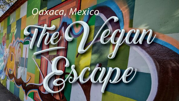 The Vegan Escape in English | Oaxaca, Mexico 2026