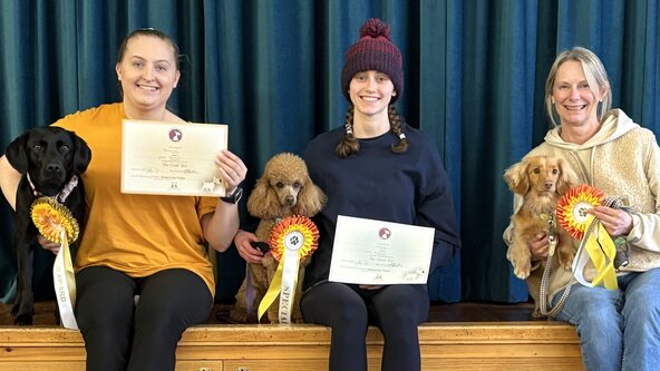  Dog Training for Life Skills January to March 26