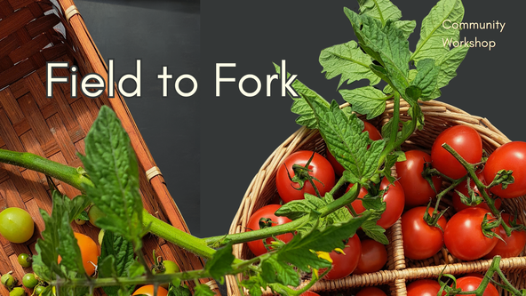 Family Field to Fork with Steph - Children aged 5 -12 years