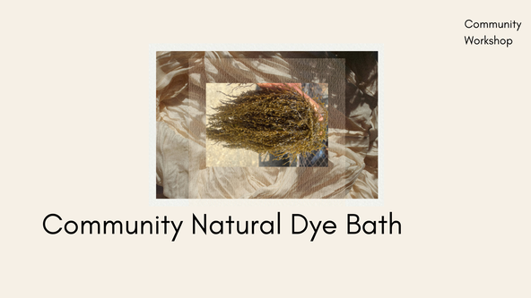 Community Natural Dye Bath with Waste Will Save Us - All ages welcome