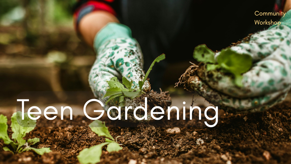 Teen Gardening with Steph - Children aged 12+