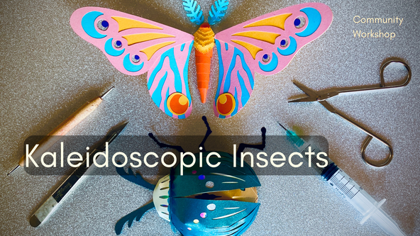 Kaleidoscopic Insects with Jess Deacon - for adults