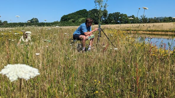 Painting the Farm June 2025, A 5 day Plein Air Painting Course in Dorset