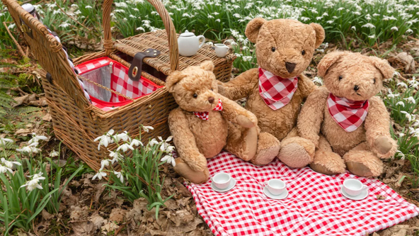 TEDDY BEARS PICNIC SPECIAL EVENT! 🧸🧺