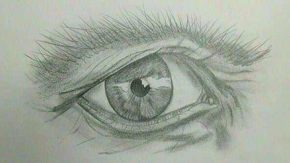 Learn to Draw (APR/MAY 23)