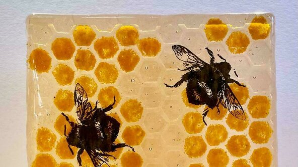 Fused Glass Advanced - Mon Eve- (NOV/DEC 22)