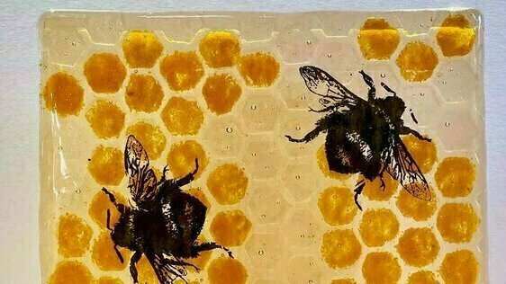 Fused Glass Advanced (APR/MAY 23)