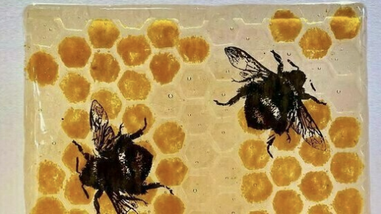 Fused Glass Advanced (JUNE/JULY)