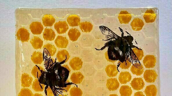 Fused Glass Advanced (FEB/MAR 23)