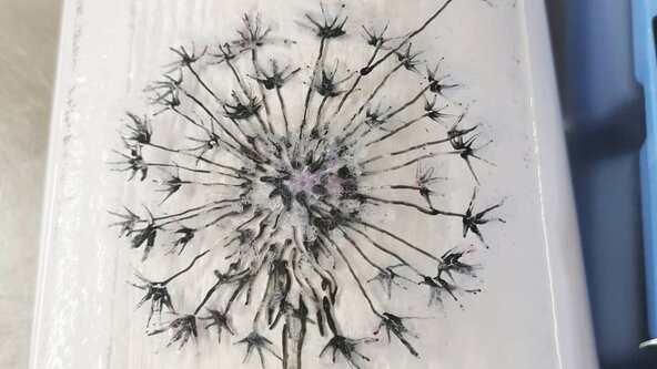 Fused Glass Begin/Intermediate